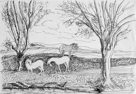 Landscape and Horses
